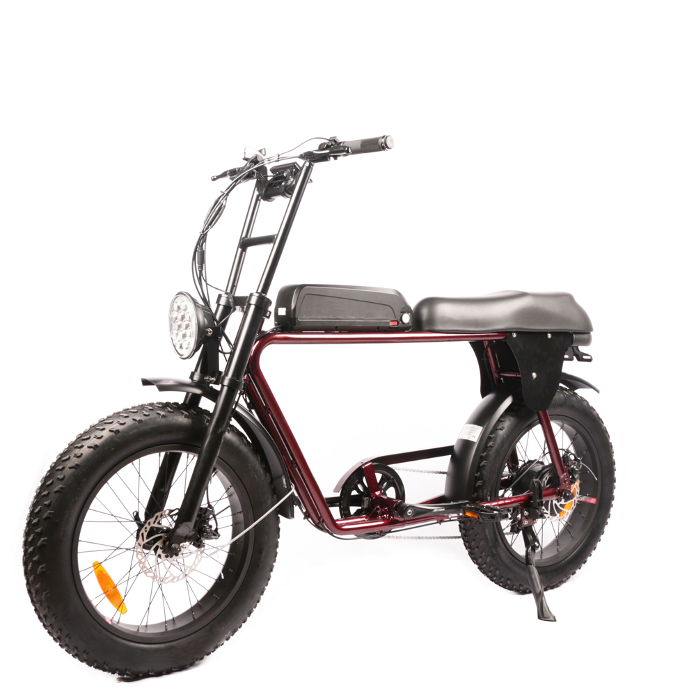 最安値 デュアルモーター 電動自転車 大人用 アルミ合金フレ - Dual Motor Electric Motorcycle Frame のレビューと価格